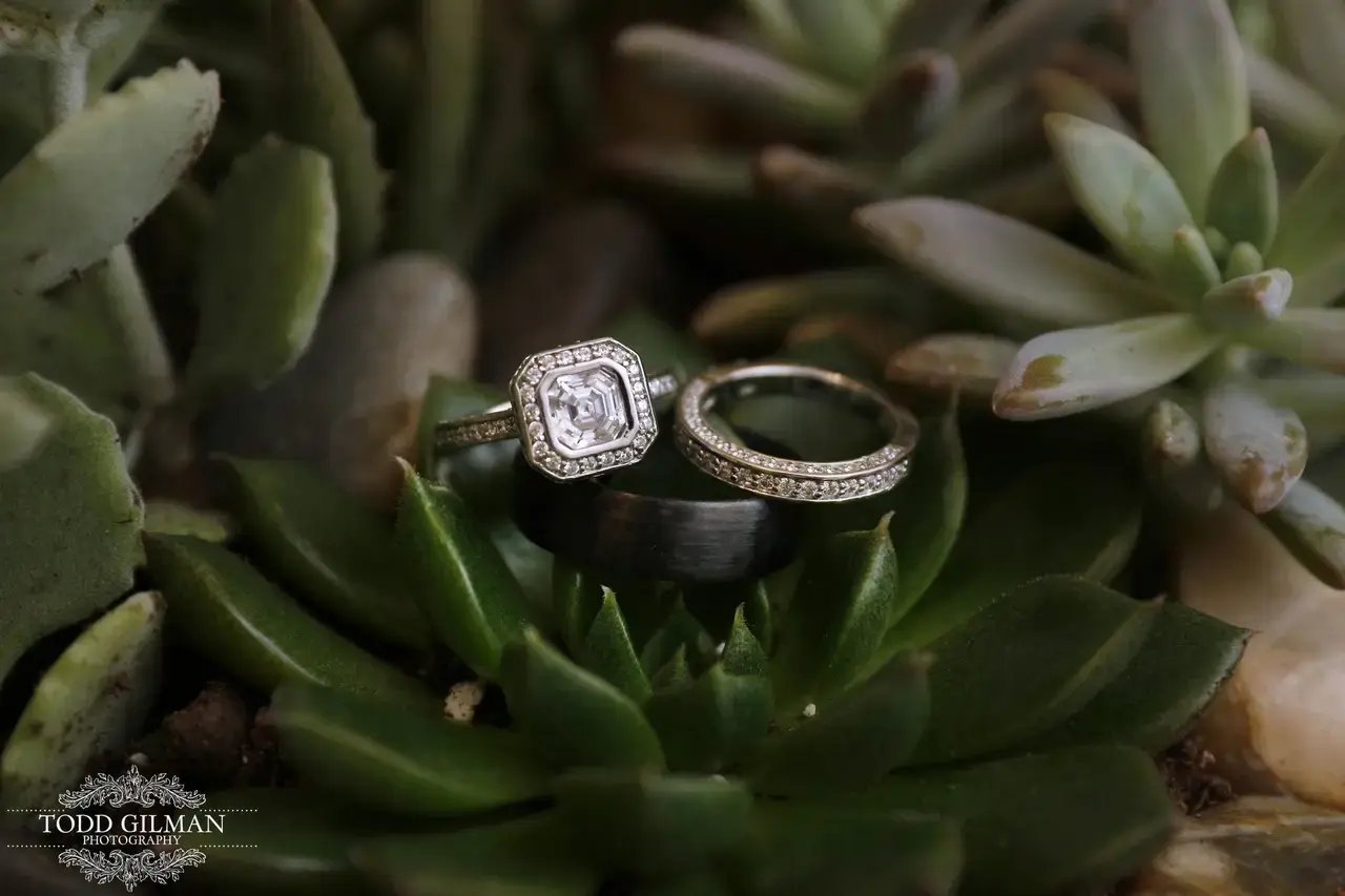 1527791727-f18f0e2a0649efe6-1527791725-b7a0cd4500ea3c80-1527791753486-26-MAY493